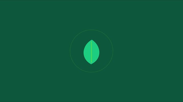 Minimalist green leaf animation with pulsing circle effect for eco-friendly branding and sustainable business motion 4k