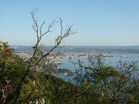 view of trieste from highground