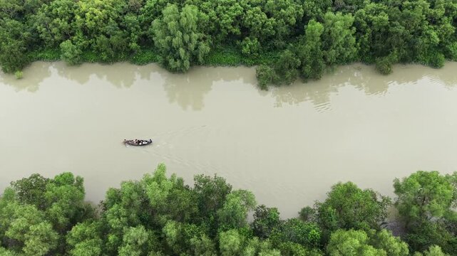 Aerial View of Fishermen Rowing Wooden Boat Through Sundarbans Mangrove Forest