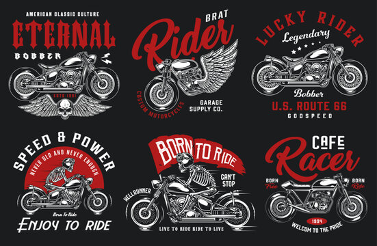 vector illustration