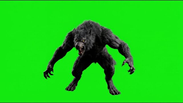 Angry werewolf creature snarling on green screen chroma key background.