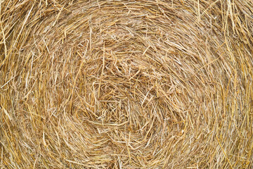Round bale of golden straw resting on a farm field during harvest season in Grantown on Spey located within the beautiful Highlands of Scotland © JASPERIMAGE