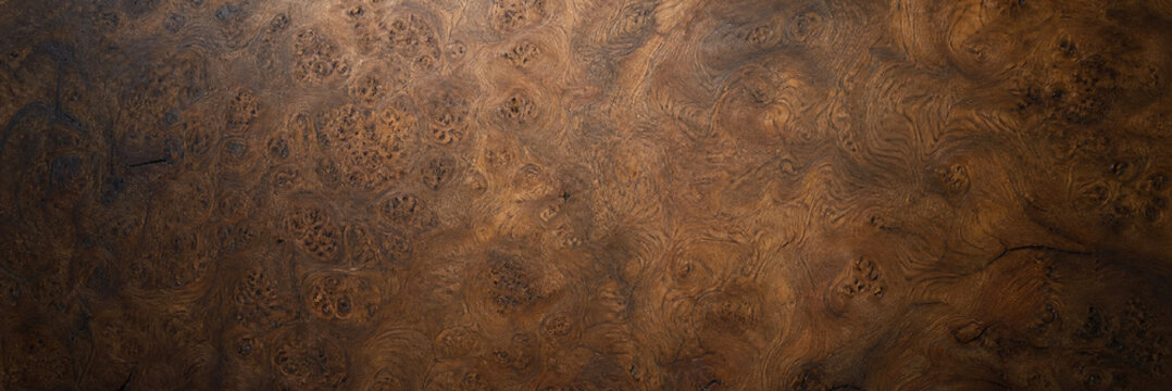 Burl wood texture background, dark walnut timber grain, luxury polished wooden surface for furniture design and interior decor