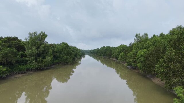 Drone Push In Through Mangrove River in the Sundarbans, Bangladesh