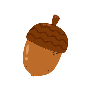 A stylized illustration of a brown acorn with a ribbed cap, representing nature's bounty and the autumn season