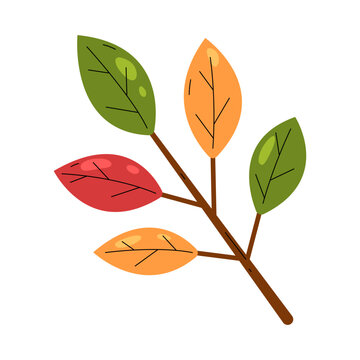 Autumn branch with colorful leaves of red, orange, and green. The leaves are depicted in a simple, stylized manner, suggesting the changing seasons.