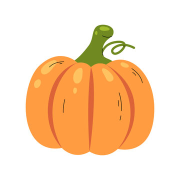 A simple illustration of a bright orange pumpkin with a green stem and tendril