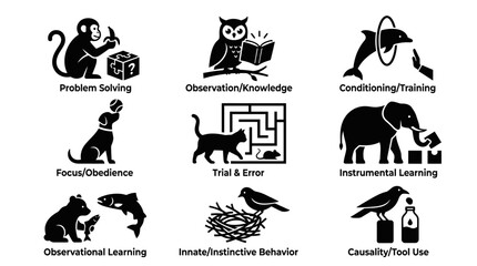 Obraz premium Learning Animals Various Species.