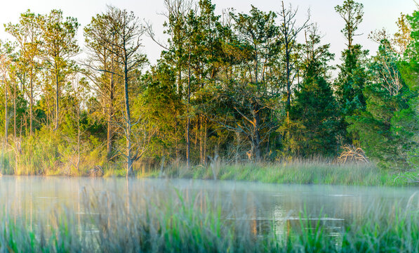 Liberty Acres Animal Haven & Equine Rescue