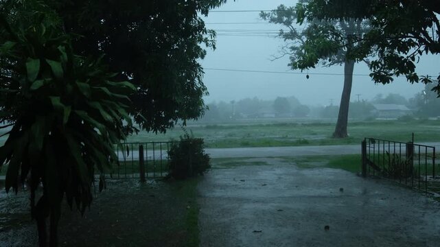 Monsoon season. Summer storm, dark sky cloudy heavy rain, weather in rainy season.