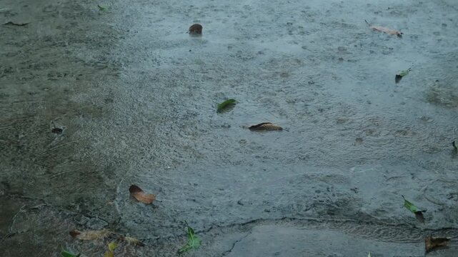 Monsoon season. Summer storm, dark sky cloudy heavy rain, weather in rainy season.