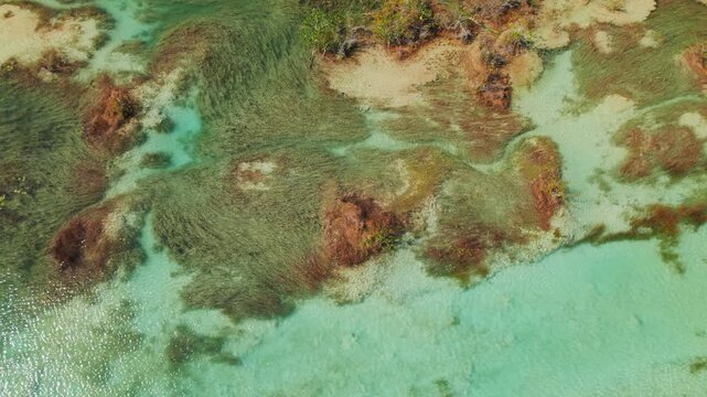 Top down view of algae and water patterns in Bacalar lake of seven colors Mexico