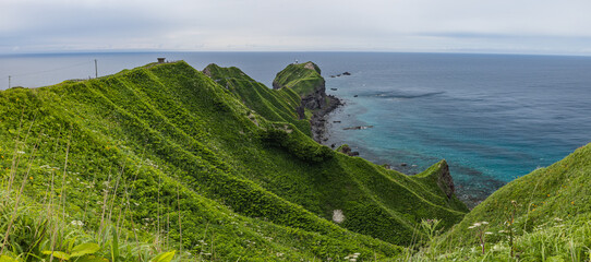 日本　北海道積丹町・瑞々しい夏の野草に覆われた神威岬の丘と雄大な岬の全景 © pespiero