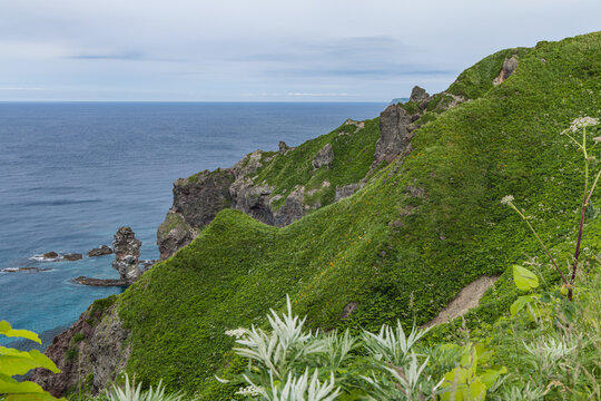 日本　北海道積丹町・鮮やかな笹原に覆われた神威岬の断崖と広大な日本海