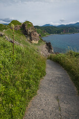 日本　北海道積丹町・豊かな夏の野草が広がる丘をうねるように続く神威岬の遊歩道 © pespiero