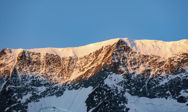 Icy mountain ridge on the Agassizhorn with alpine glow at sunrise, Bernese Alps, Bernese Oberland, Switzerland