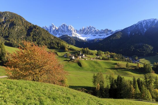 A mountain landscape with colourful autumn forests and snow-covered Pomeranians, Italy, Trentino-Alto Adige, Alto Adige, Bolzano province, Dolomites, Santa Magdalena, St. Maddalena, Funes Valley, Odle, Puez-Geisler Nature Park in autumn