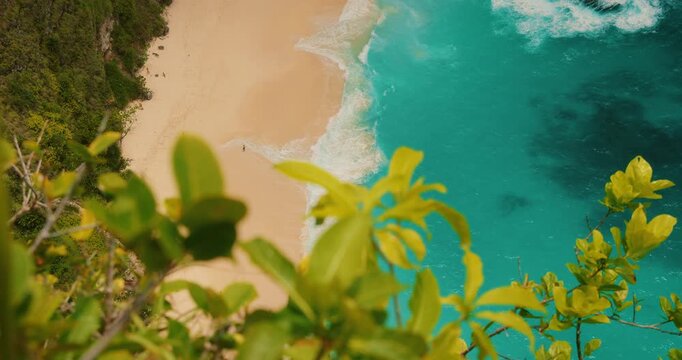 Tropical leaves frame the view of Kelingking Beach ocean waves in Nusa Penida