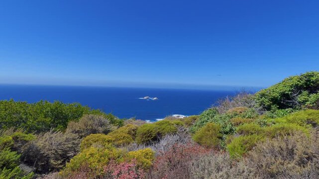view of Pacific Coast of Big Sur, California