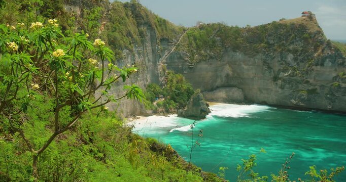 Beautiful flowers frame scenic view of Diamond Beach cove on Nusa Penida island Bali