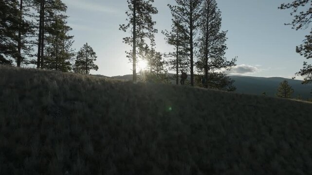 Golden Hour Mountain Ridge with Sun Flare and Pine Trees