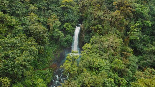 Waterfall flows into forest canyon surrounded by dense tropical vegetation