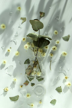Eucalyptus branch in cracked glass vase surrounded by scattered flowers and shards on white surface