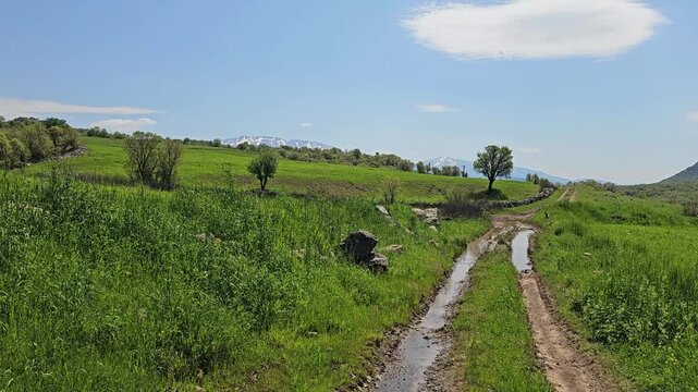 Muddy dirt trail with standing water winds past a distant tree toward snow-capped peaks, flanked by green meadow and a striking cloud overhead.
📍 Daga Shekhan, Marivan, Kurdistan 
