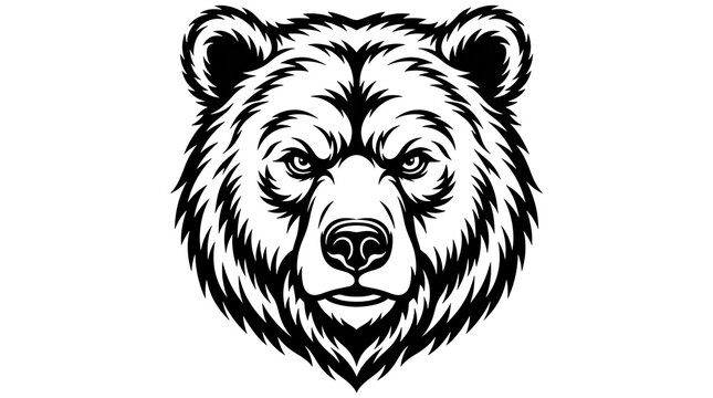 head of a bear