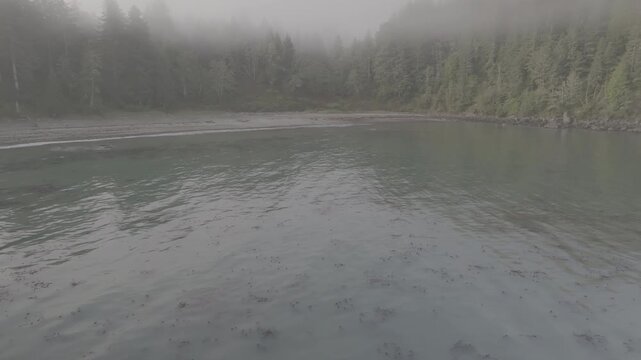 Aerial view flying slowly toward foggy forested coastline, in Washington state, ocean waves of Olympic Peninsula (D-log / Ungraded version)