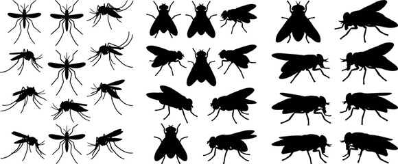 Fototapeta premium Mosquito and House Fly Silhouette Vector Set Featuring Various Insect Poses Bug Icons and Pest Control Graphics