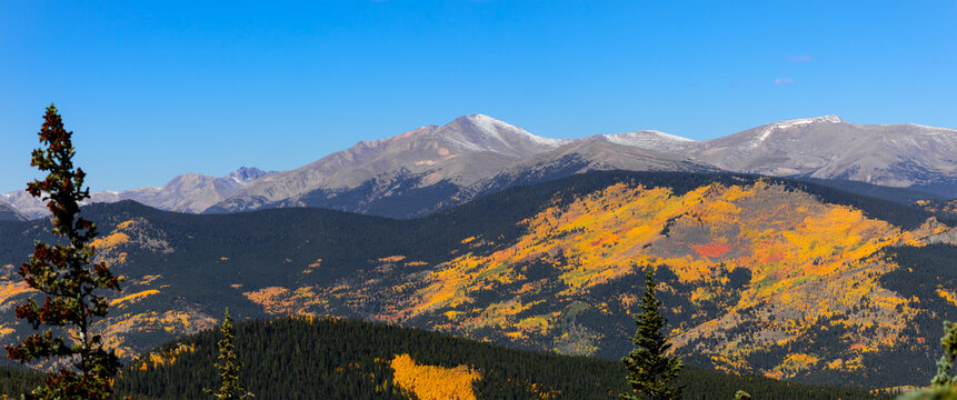 Rocky Mountains autumn foliage with aspens and snow