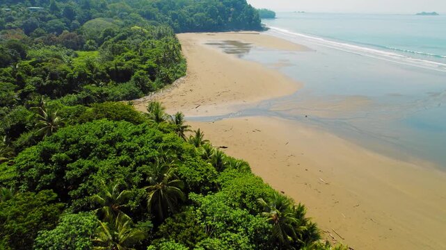 Wide sandy beach beside dense green forest in Costa Rica