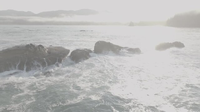 Aerial view flying away from sea rock with birds off Washington coast , ocean waves of Olympic Peninsula (D-log / Ungraded version)