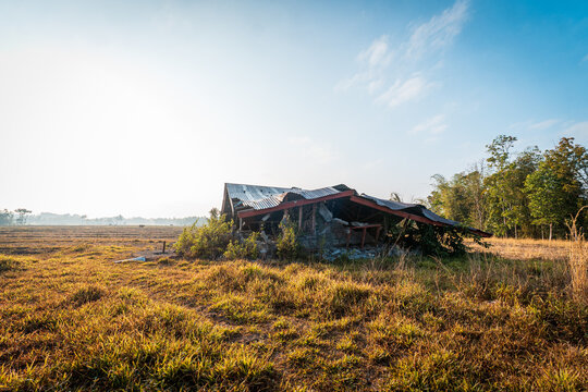 Damaged concrete building with a broken collapsed metal roof surrounded by overgrown grass in morning light, Bajawa, East Nusa Tenggara, Indonesia.
