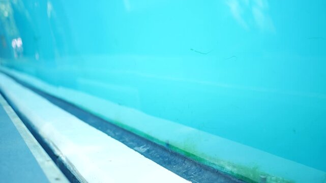  Aquarium Filler Shot - Blue Curved Glass with Water