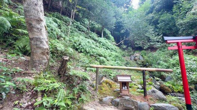 京都・愛宕念仏寺の千二百羅漢　苔むした石仏が並ぶ奥嵯峨の寺院風景
