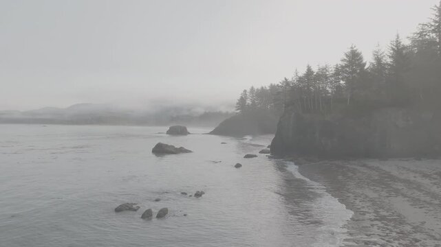 Aerial view of misty rugged coastline off Washington coast , ocean waves of Olympic Peninsula (D-log / Ungraded version)