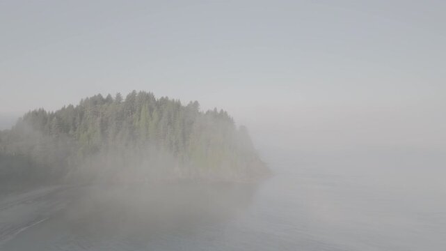 Aerial view of foggy tree-lined coast off Northwest Washington coast , ocean waves of Olympic Peninsula (D-log / Ungraded version)