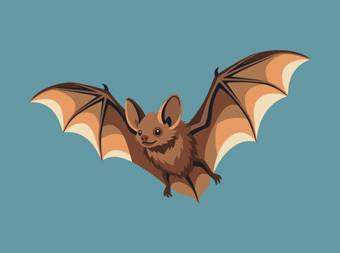 Vector illustration of a little brown bat flying with wide wingspan against a solid blue background. Detailed mammal anatomy with large ears and furry body in a clean graphic design style.