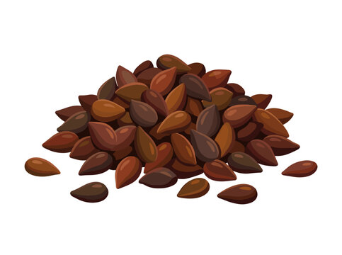 Vector illustration of a pile of dried Syrian Rue seeds (Peganum harmala) on a white background. Small brown and dark reddish seeds stacked in a heap for medicinal or spice use.