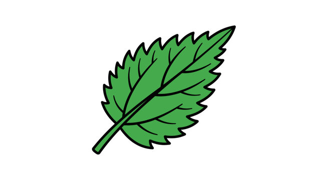 DAUN BERGERIGI (19)_2x