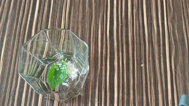 Adding a Pinch of Salt to a Glass with Fresh Green Herbs and Ice