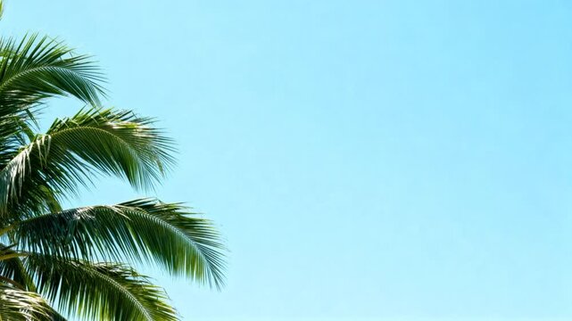 clear light blue sky background for minimalist summer commercial