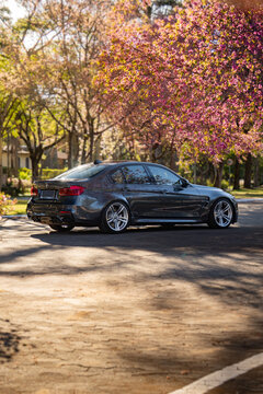Dark Grey BMW M3 Sedan Parked Under Spring Trees, Rear Three-Quarter View