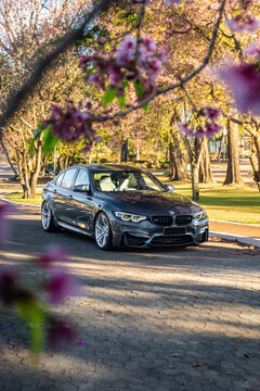 Front Three-Quarter View of Grey BMW M3 Parked in Blooming Spring Park