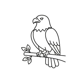 Fototapeta premium Eagle perched on a branch, line art