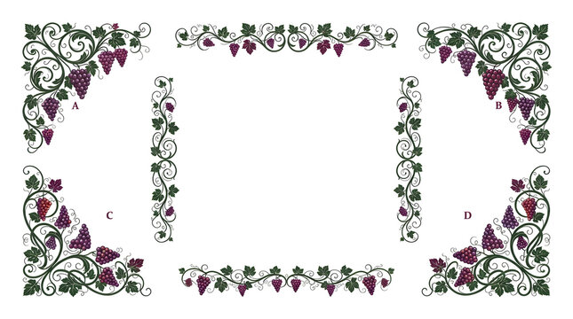 Decorative grapevine border frame with purple grapes and green leaves on white background