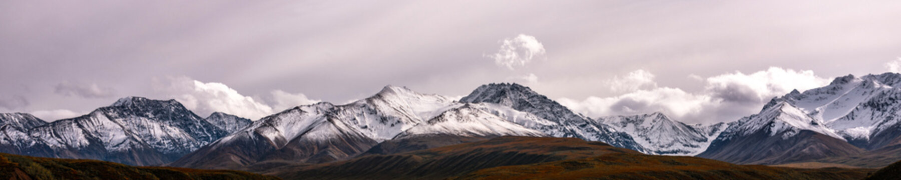 Denali National Park and Preserve snowscape panoramic landscape in Alaska