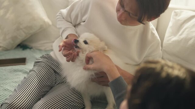 Two smiling friends feeding treat to fluffy Pomeranian puppy on sofa at home, playful moment with dog, pet ownership and companionship concept, cozy living room, natural indoor light.